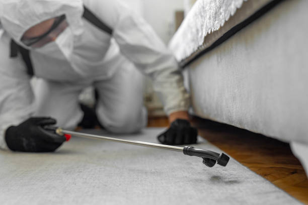 Professional Termite Control technician working in Avery Creek, NC