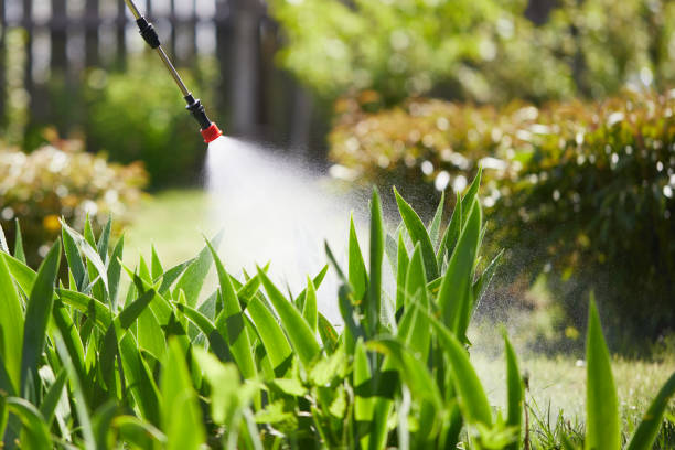 24/7 Emergency Termite Control experts in Avery Creek, NC